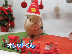 151129o.gif