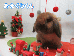 151130a.gif