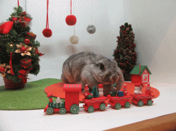 151130h.gif