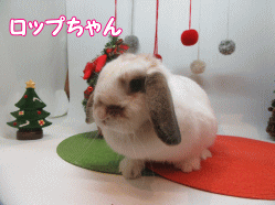 151130i.gif