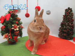 151130k.gif