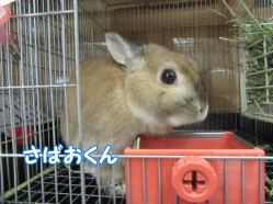 151201e.gif