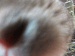 151203d.gif