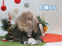 151204c.gif
