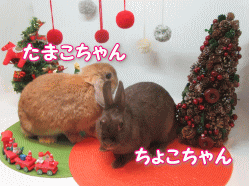 151204e.gif