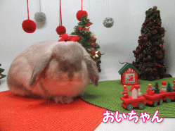 151205a.gif