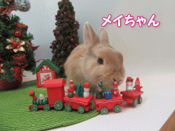 151205c.gif