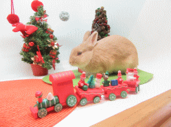 151205d.gif