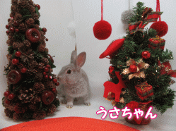 151205g.gif