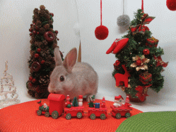 151205h.gif