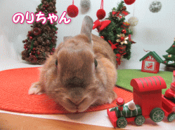 151205k.gif