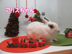 151206a.gif