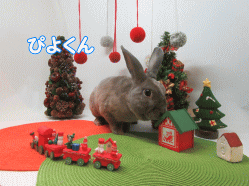 151206c.gif