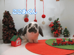 151206d.gif