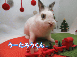 151206f.gif
