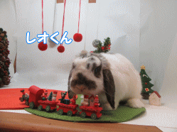 151206g.gif