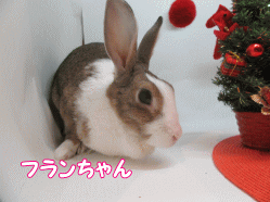 151206i.gif