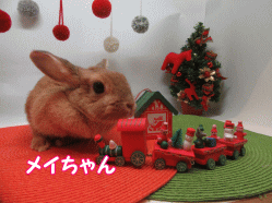 151206k.gif