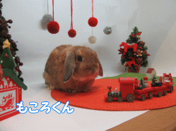 151206l.gif