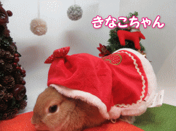 151208a.gif