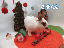 151208c.gif