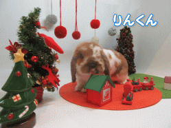 151208e.gif