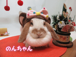 151208g.gif