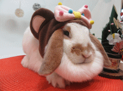 151208h.gif