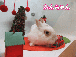 151208i.gif