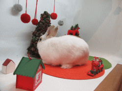 151208j.gif