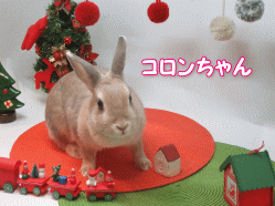 151208k.gif