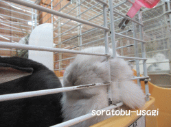 151211e.gif