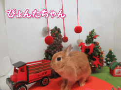 151212a.gif