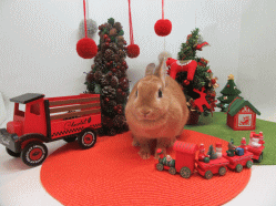 151212b.gif