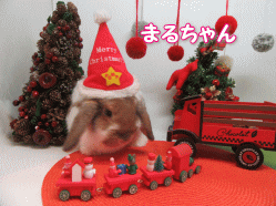 151212c.gif