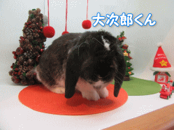 151212e.gif
