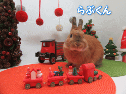 151212g.gif