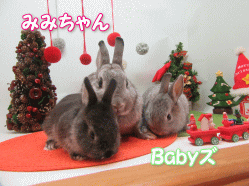 151212i.gif