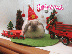 151212o.gif