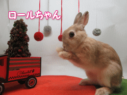 151212p.gif