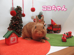 151212s.gif