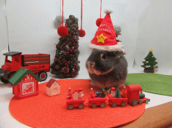 151213b.gif