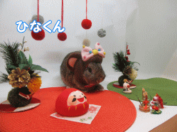 151213c.gif