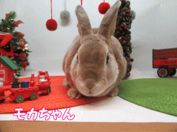 151213g.gif