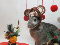 151213l.gif