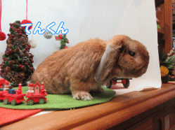 151213o.gif