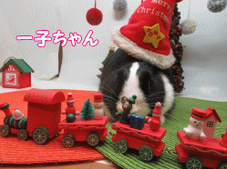 151213q.gif
