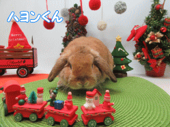 151214a.gif