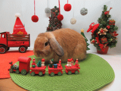 151214b.gif