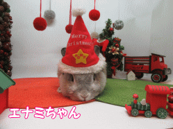 151214e.gif